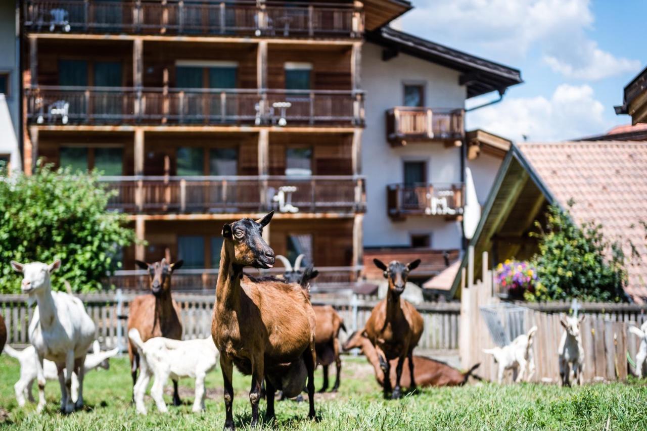 Sporthotel Exclusive San Vigilio Di Marebbe Esterno foto